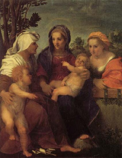Andrea del Sarto Madonna and Child with St.Catherine China oil painting art